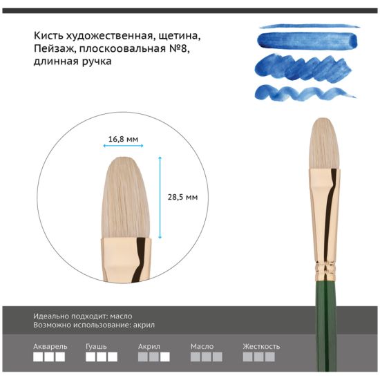 Кисть плоскоовальная, щетина (Пейзаж) №8, длинная ручка (Гамма®) Китай